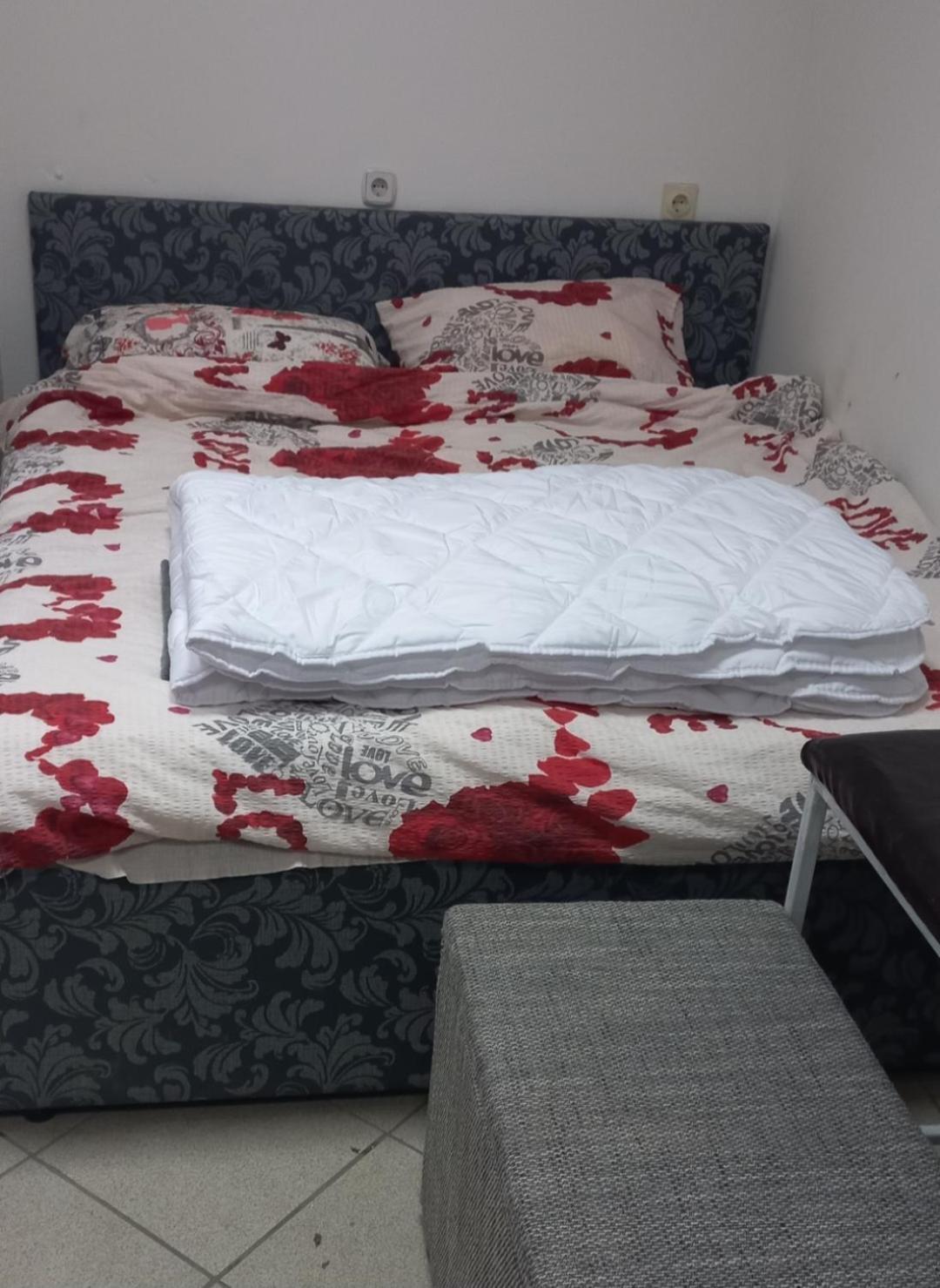 Big Bed, Rumenacka 7 Νόβι Σαντ Εξωτερικό φωτογραφία